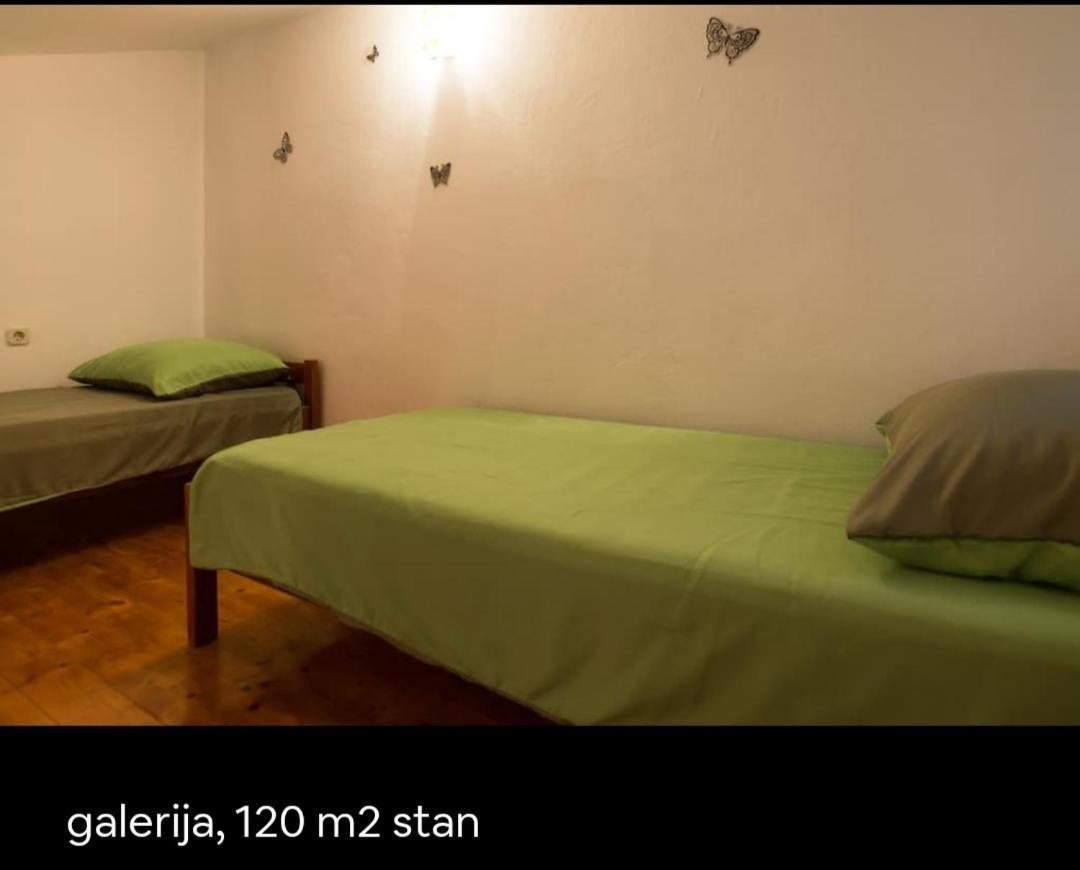 Marko * Pula