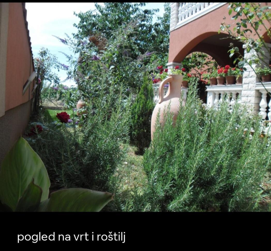 Marko Apartma *